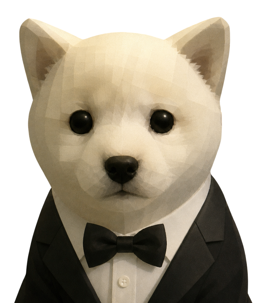 404 dog